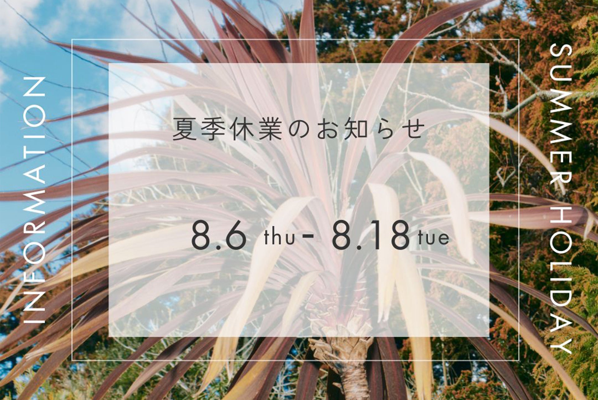 夏季休業及び倉庫改修期間中の発送について