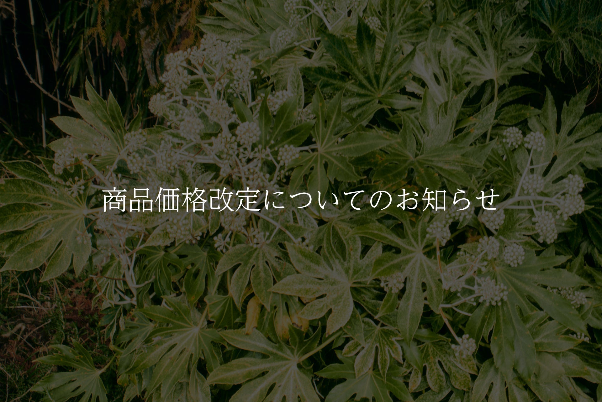4月1日〜 商品価格改定についてのお知らせ